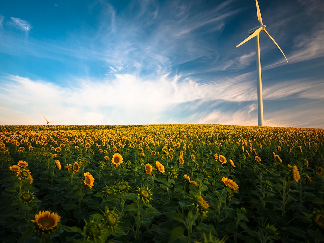 Photo Renewable energy sources