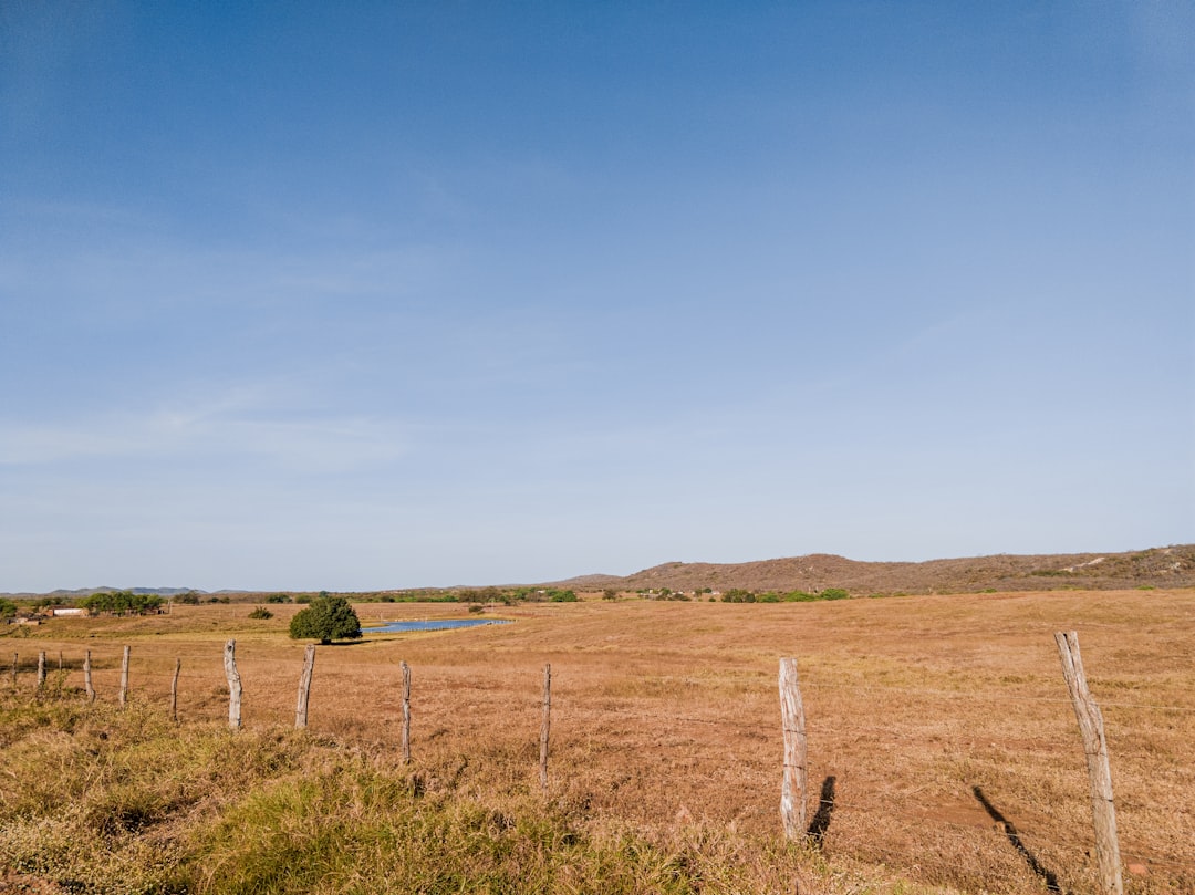 Photo land prices analysis