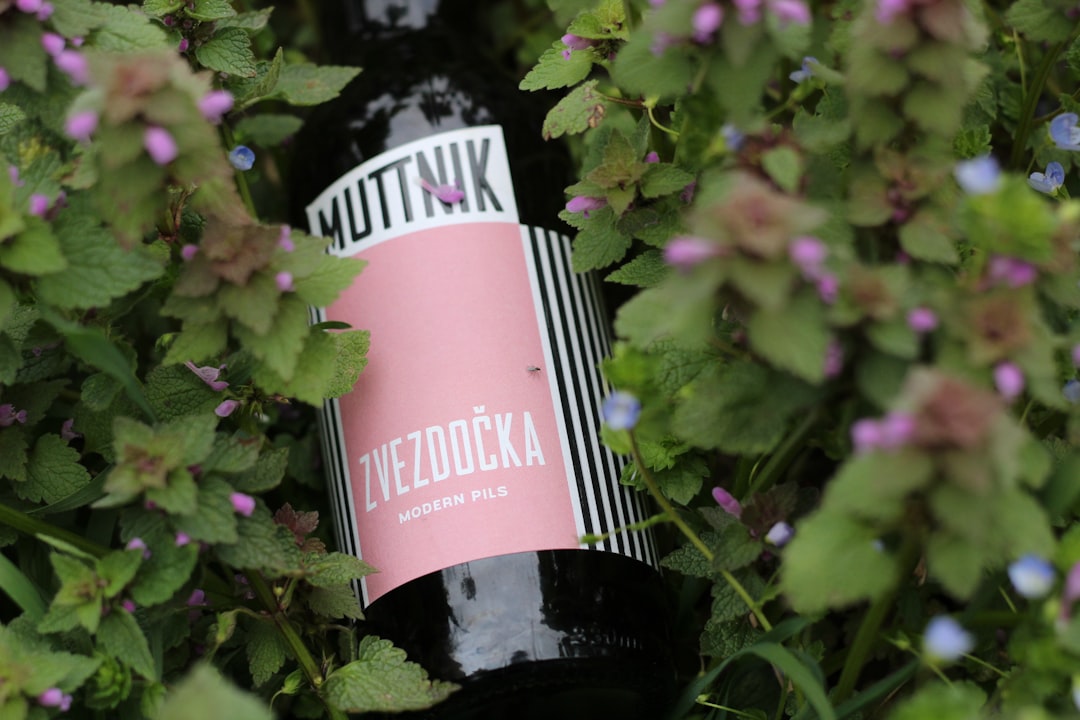 Photo Polish regional wines
