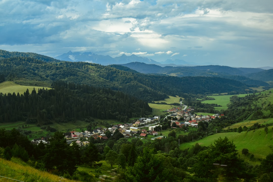 Photo Śląskie potrawy zapomniane Keyword: Śląskie potrawy